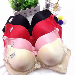 汕頭市潮南區陳店碧芭麗內衣廠