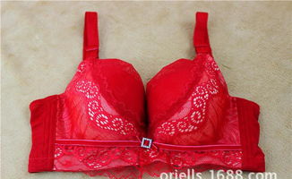 深圳市龍崗區奧麗爾斯內衣廠