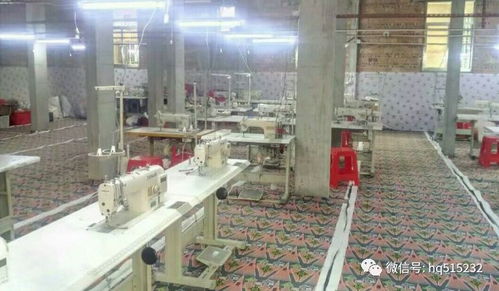 華清招聘 6月15日更新 超市 內衣廠等共7家