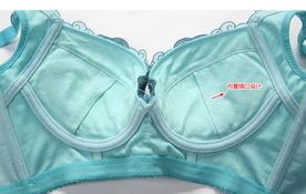 包郵特價黛安芬文胸品牌專柜正品 深v性感中薄款女聚攏調(diào)整型內(nèi)衣