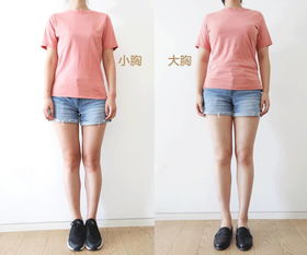 大胸和小胸的姑娘,應(yīng)該如何正確穿搭 t 恤