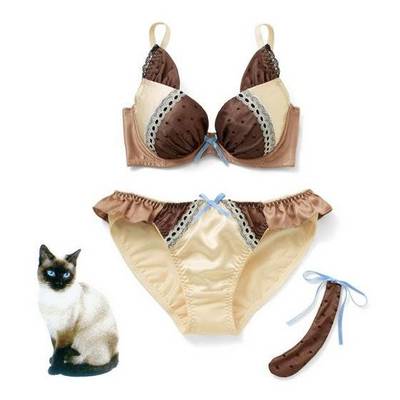 今晚的戰斗服你選性感英短or甜美暹羅?貓咪內衣