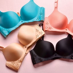 如何加盟時尚黛兒內(nèi)衣 加盟利潤 需要多少錢