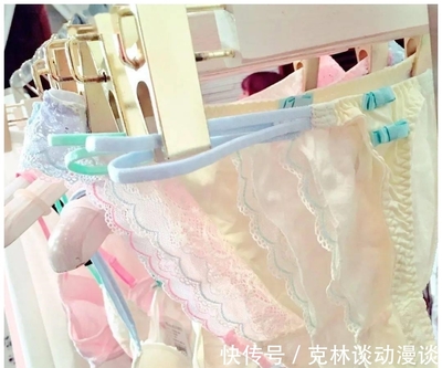 熊本縣警察抓到內衣大盜,從住處搜出1000多條內褲胸罩