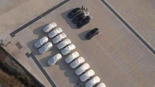 特斯拉又一全新suv開始國產,你們要當韭菜嗎