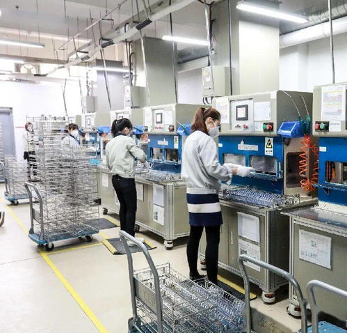 乘風(fēng)破浪 創(chuàng)造卓越 2020 eoma精英代理商論壇圓滿落幕