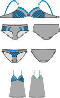 內衣文胸套裝系列產品款式圖