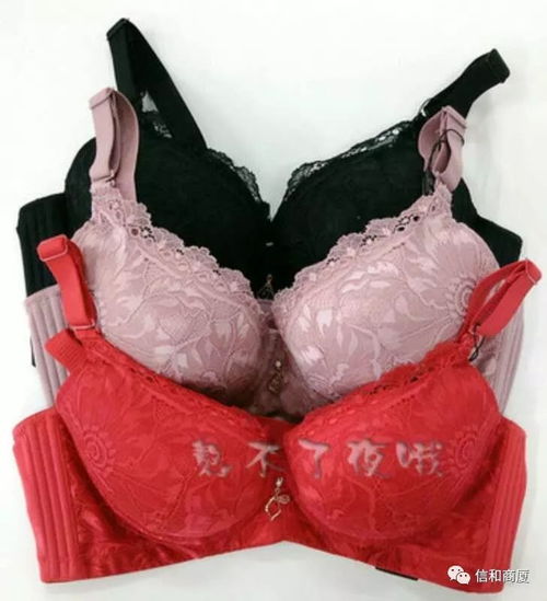 信和商廈總店 愛黛品牌文胸入駐信和商廈