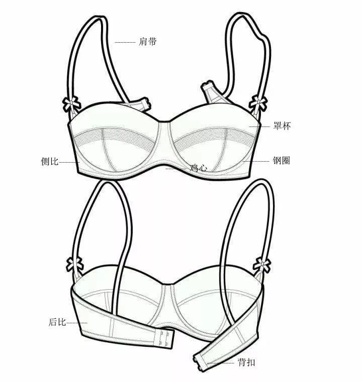 蝴蝶堂丨如何一眼判斷內(nèi)衣跟你的胸部匹配程度-大視野-.