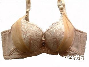 年后16團日單黛安芬文胸2011年秋季新款上市 現促銷期兩件包同城 新款在更新帖子里