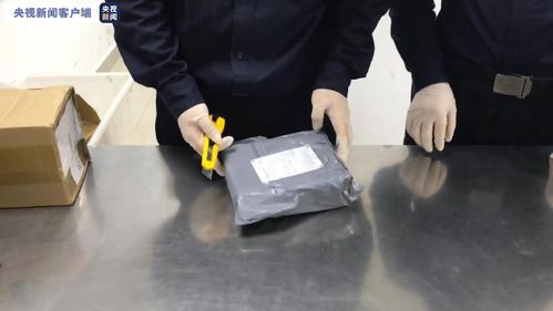 手機(jī)配件 藏毒入境 上海海關(guān)查獲大麻制品10件